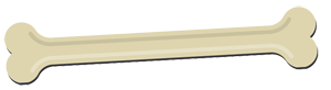 bone